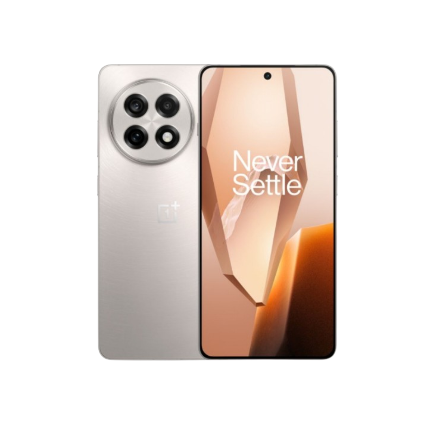 OnePlus 13R 5G 12GB RAM 256GB