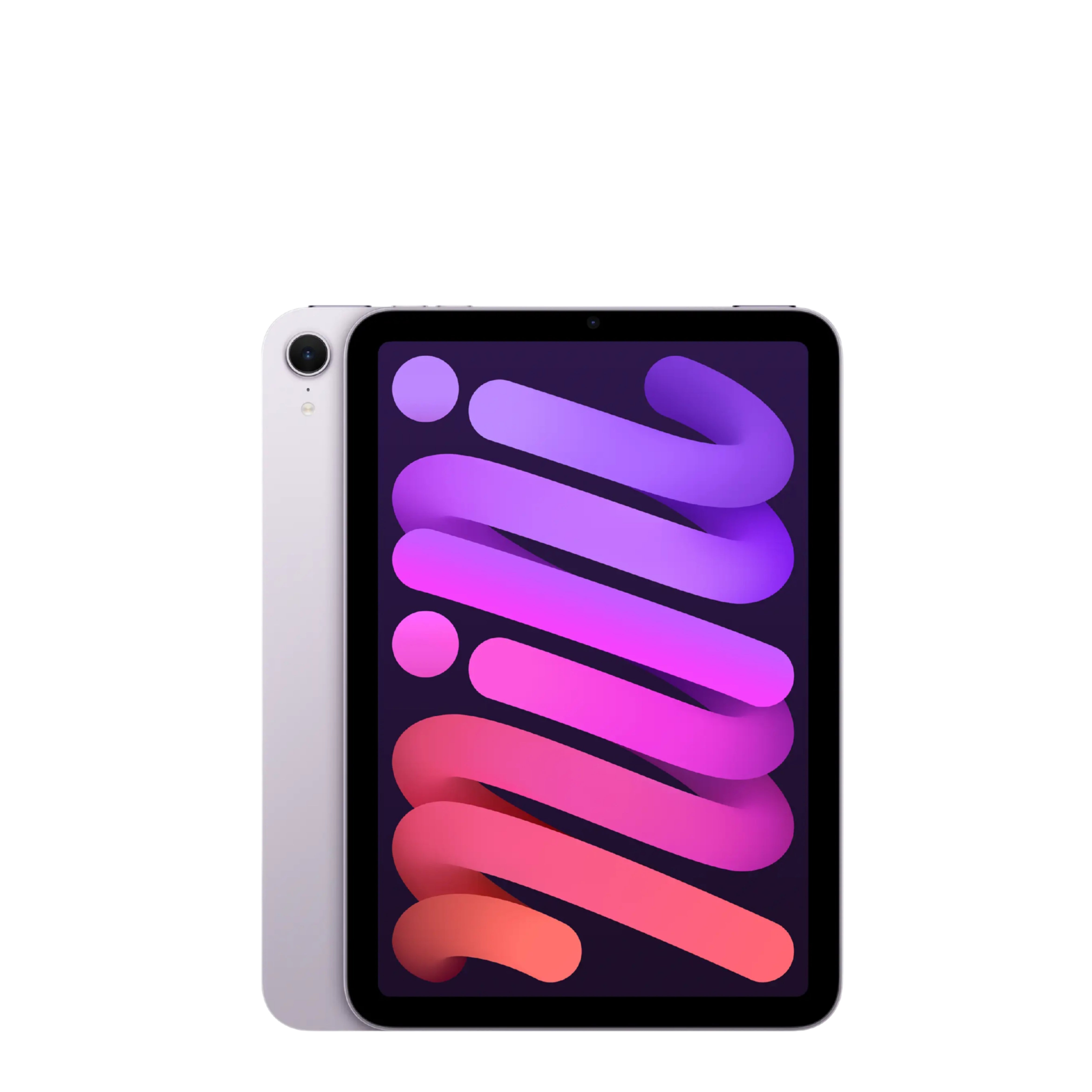 Pre-OwnediPad Mini 7.