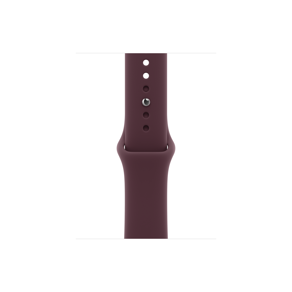 Apple Watch Series 12 — Titanium, Sport Band