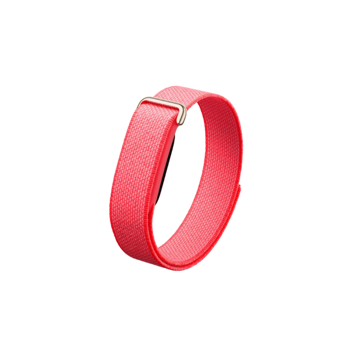 Google Fitbit Air Berry