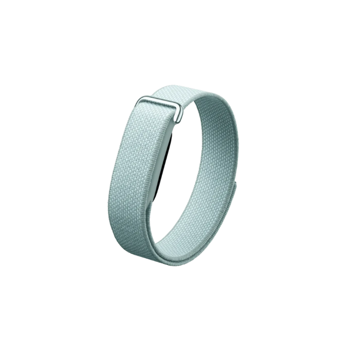 Google Fitbit Air Fog