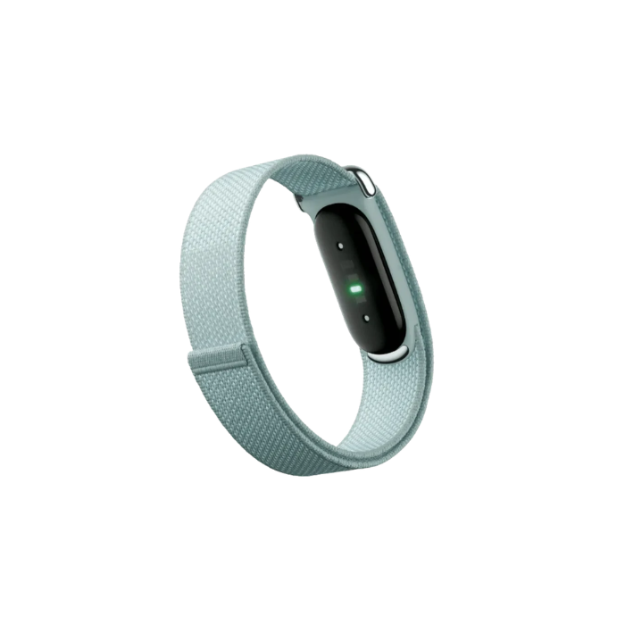 Google Fitbit Air Fog