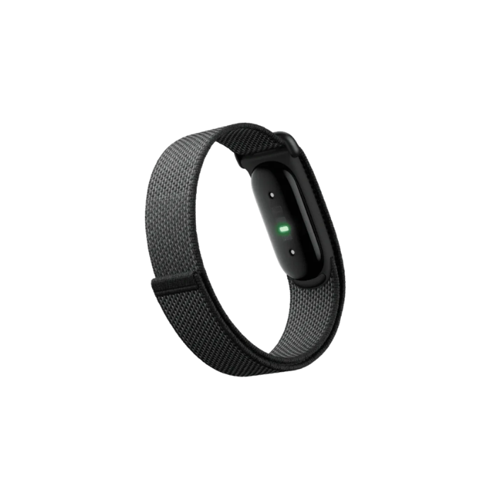 Google Fitbit Air Obsidian