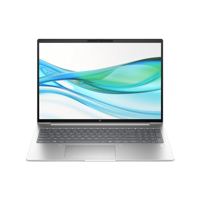 HP ProBook 460 G11 - Pike Silver
