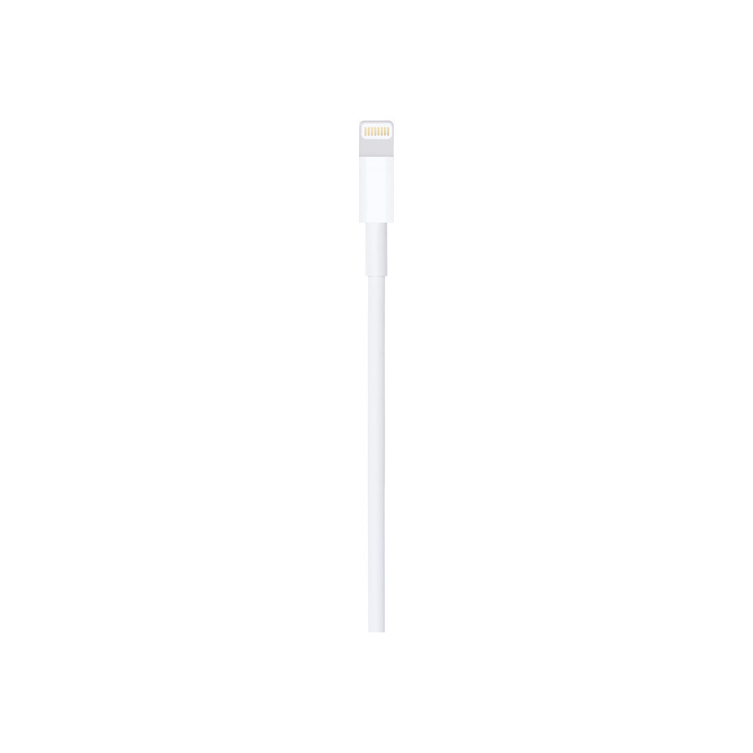 Lightning to USB Cable (1 m)