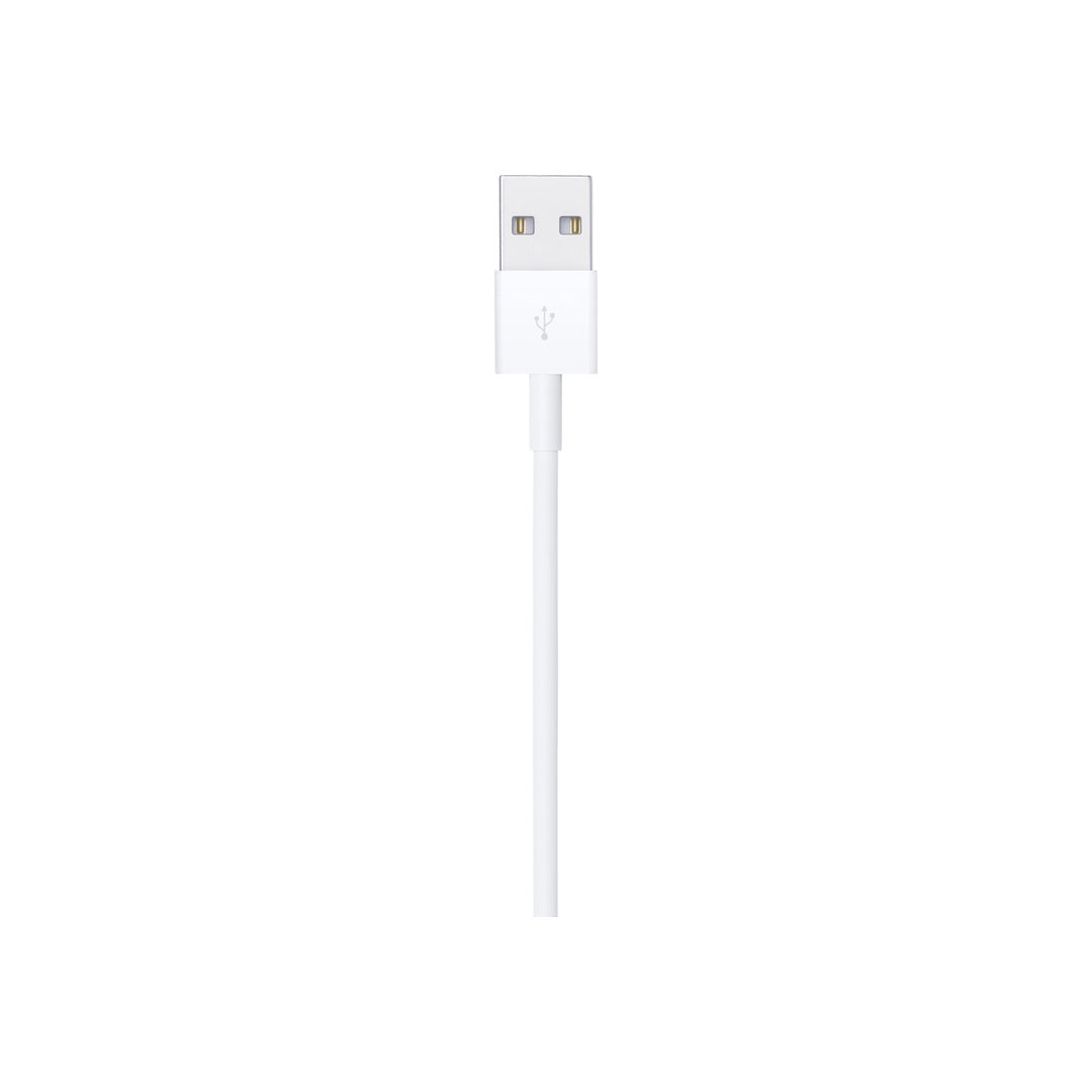 Lightning to USB Cable (1 m)