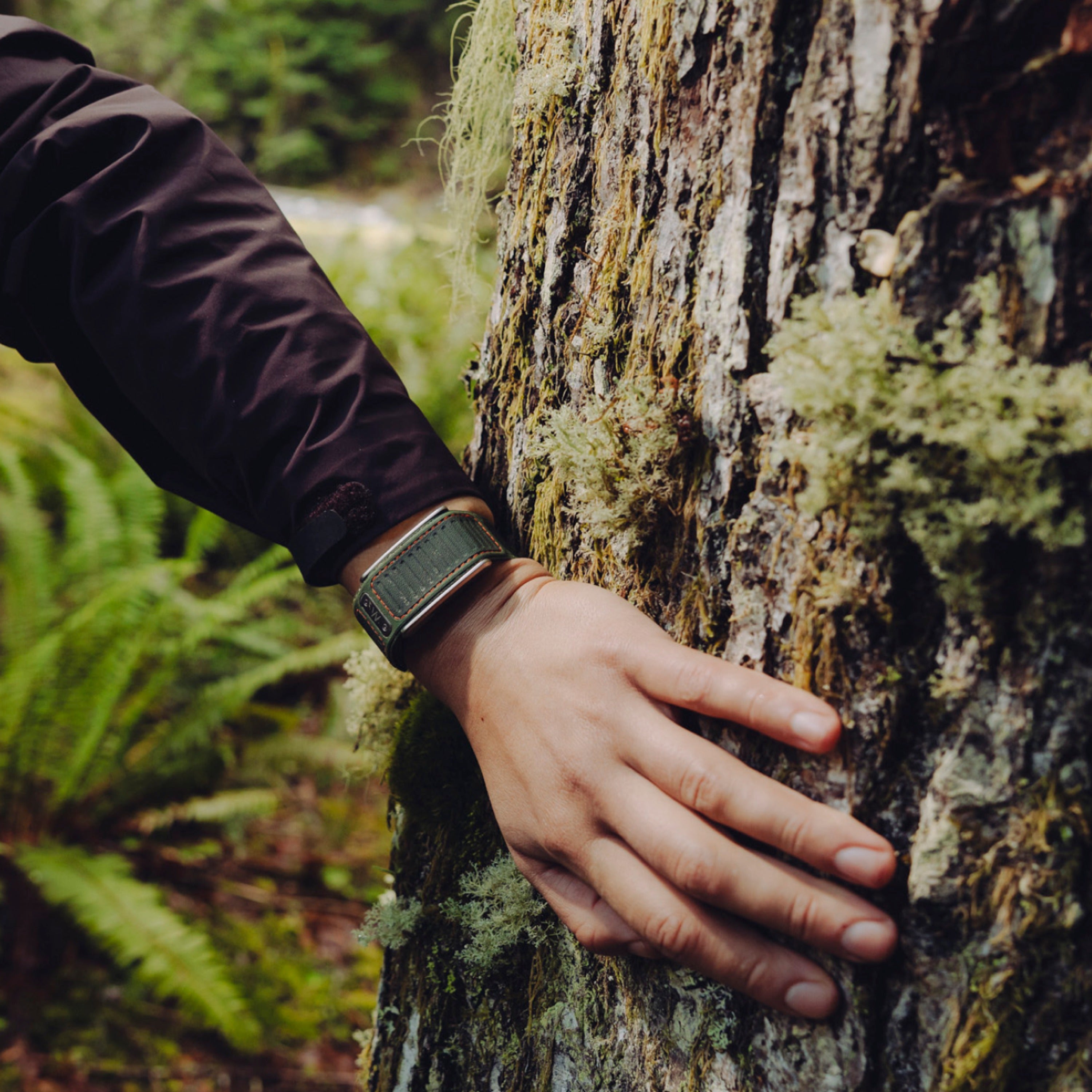 The Outdoor Edit | MG Evergreen
