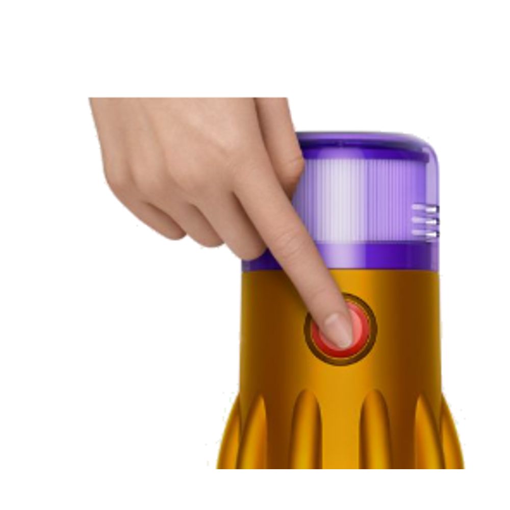 Dyson Vacuum
