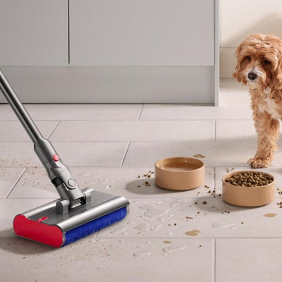 Dyson Vacuum