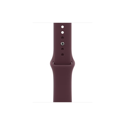 Apple Watch Series 12 — Titanium, Sport Band