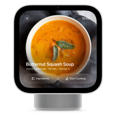 Apple HomeView Silver