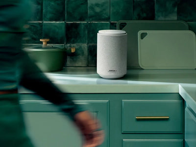 Bose Lifestyle Ultra Speaker - White Smoke