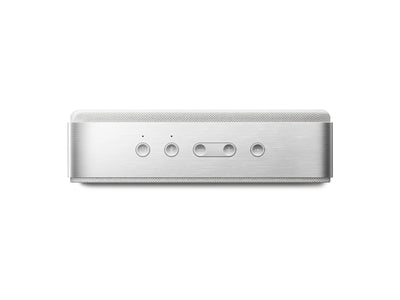 Bose SoundLink Home Bluetooth Speaker - Light Silver