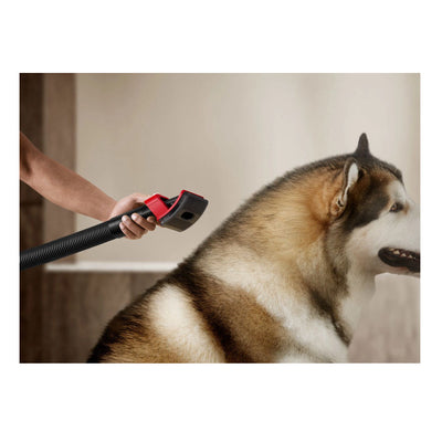 Dyson V16 Piston Animal Cordless Vacuum