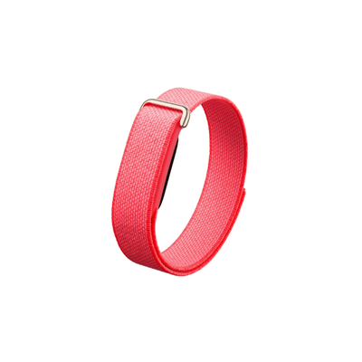 Google Fitbit Air Berry