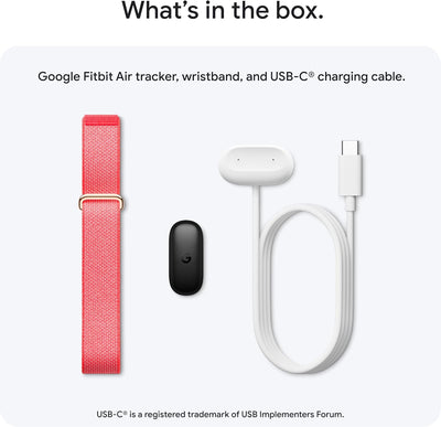 Google Fitbit Air Berry