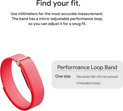 Google Fitbit Air Berry