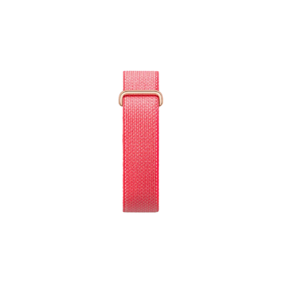 Google Fitbit Air Berry