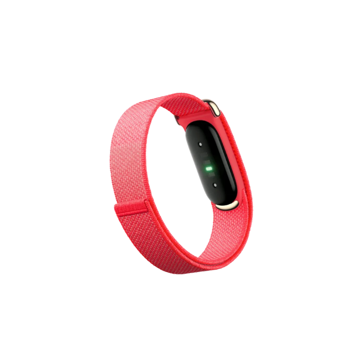 Google Fitbit Air Berry