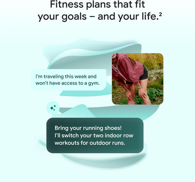 Google Fitbit Air Berry
