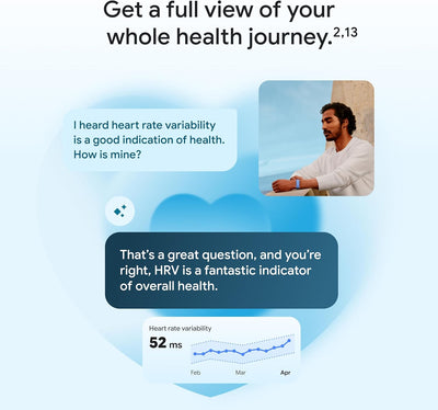 Google Fitbit Air Berry