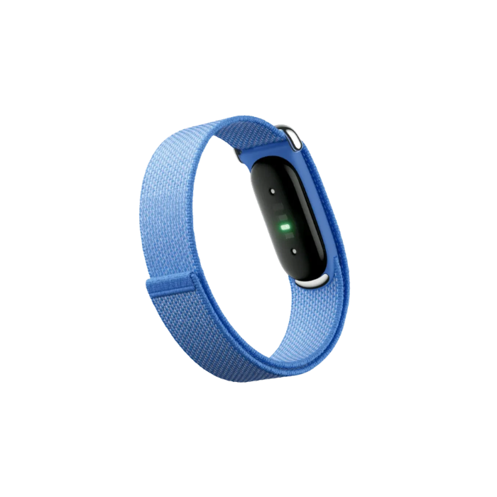 Google Fitbit Air Lavender