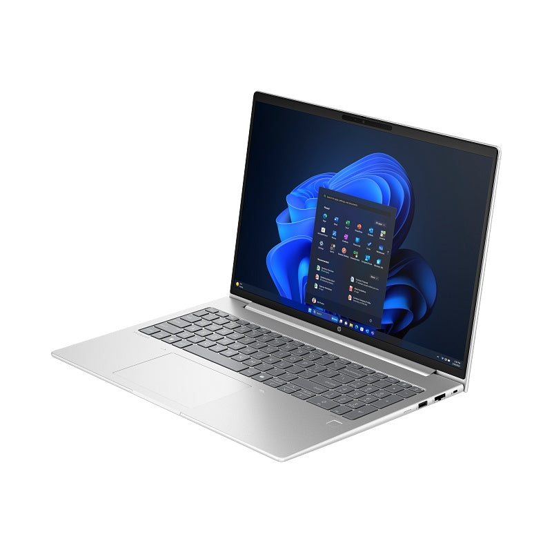 HP ProBook 460 G11 - Pike Silver