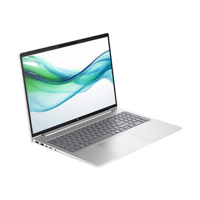 HP ProBook 460 G11 - Pike Silver