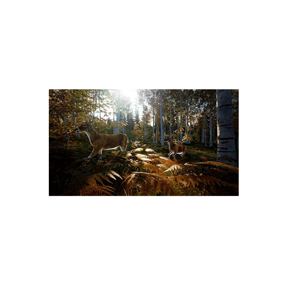 Hunting Simulator 2 - PlayStation 5