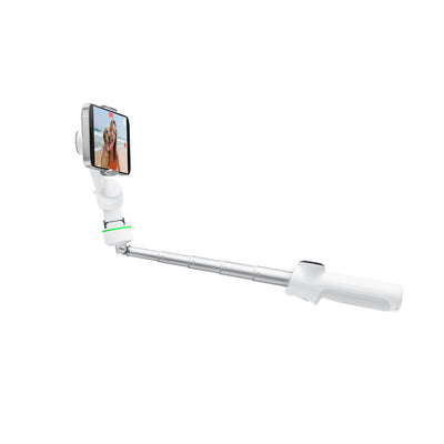 Insta360 Flow 2 Series