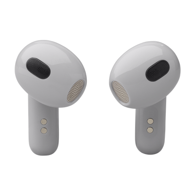 JBL Live Flex 3 Silver