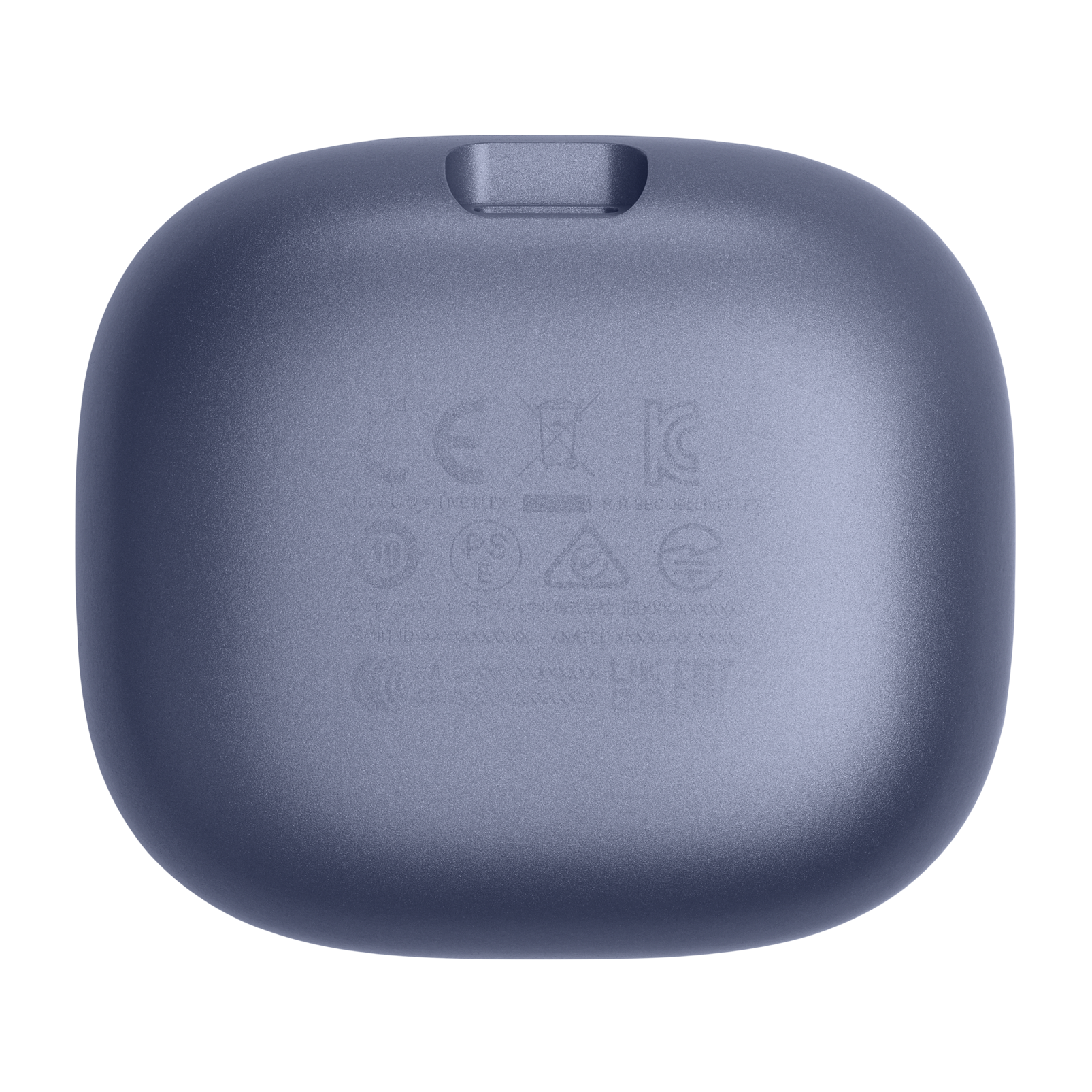 JBL Live Flex Blue