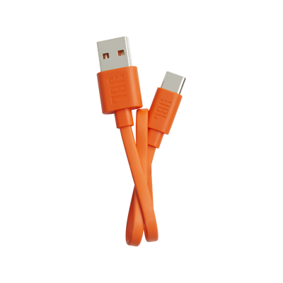 JBL Vibe 300TWS accessories