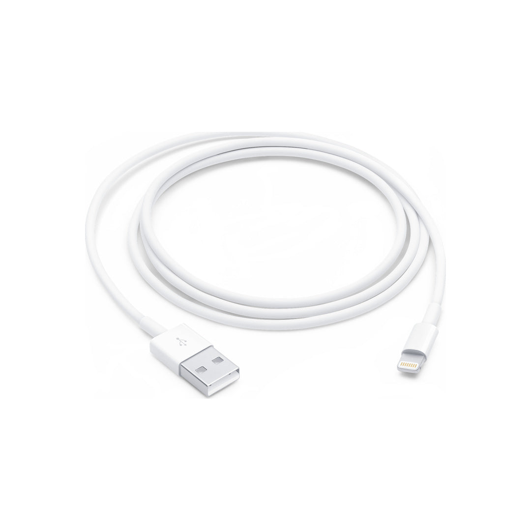 Lightning to USB Cable (1 m)