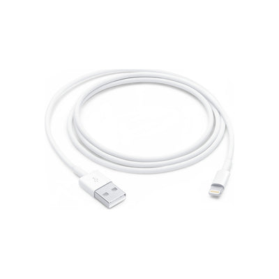 Lightning to USB Cable (1 m)