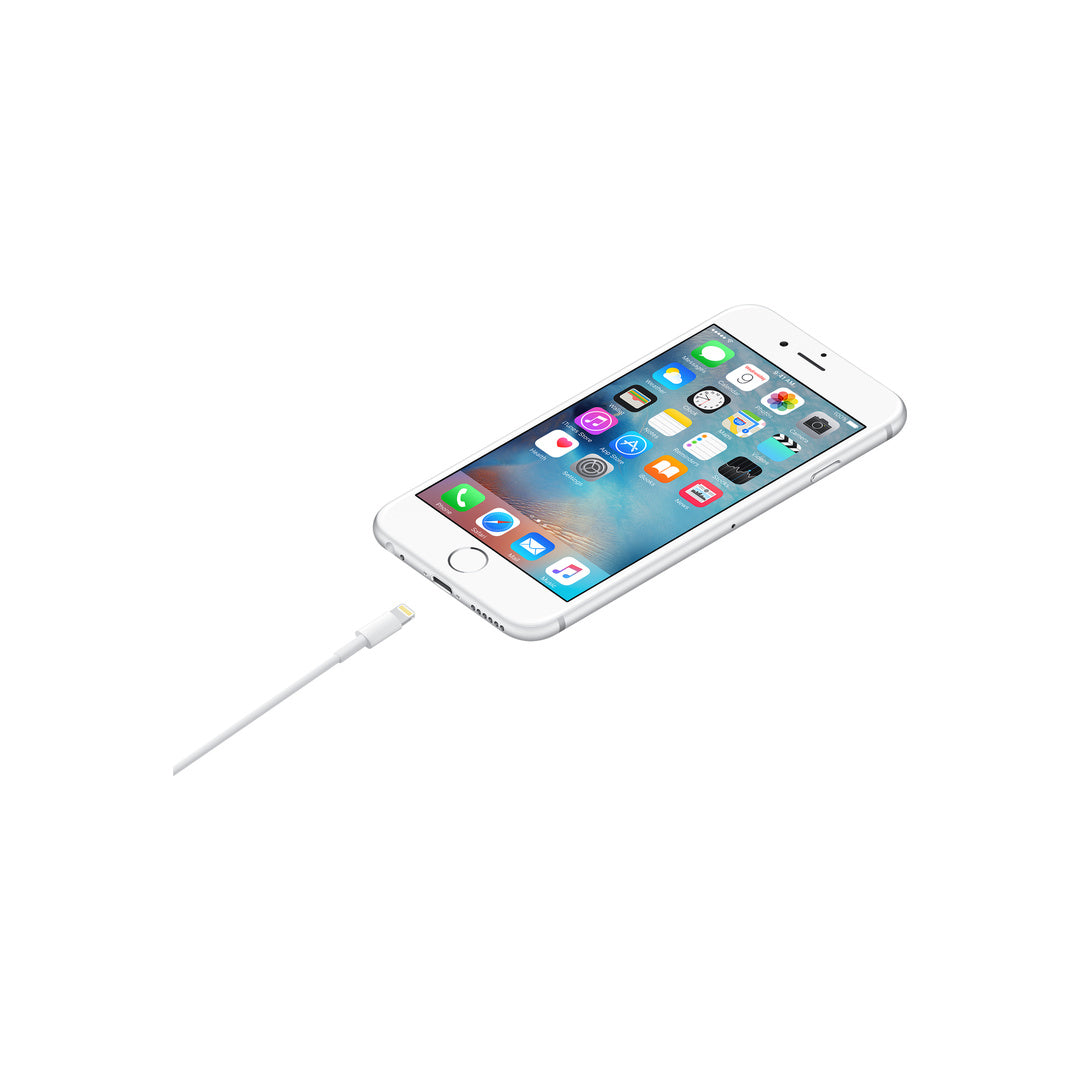 Lightning to USB Cable (1 m)