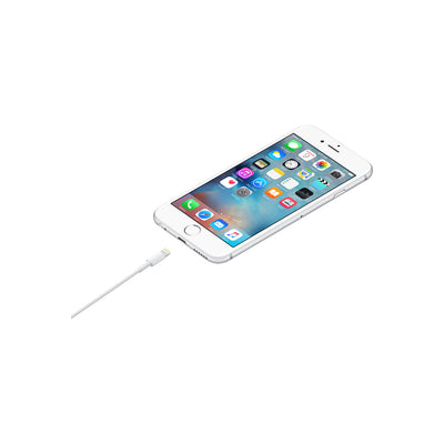 Lightning to USB Cable (1 m)