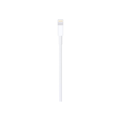 Lightning to USB Cable (1 m)