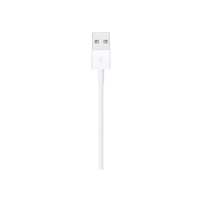 Lightning to USB Cable (1 m)