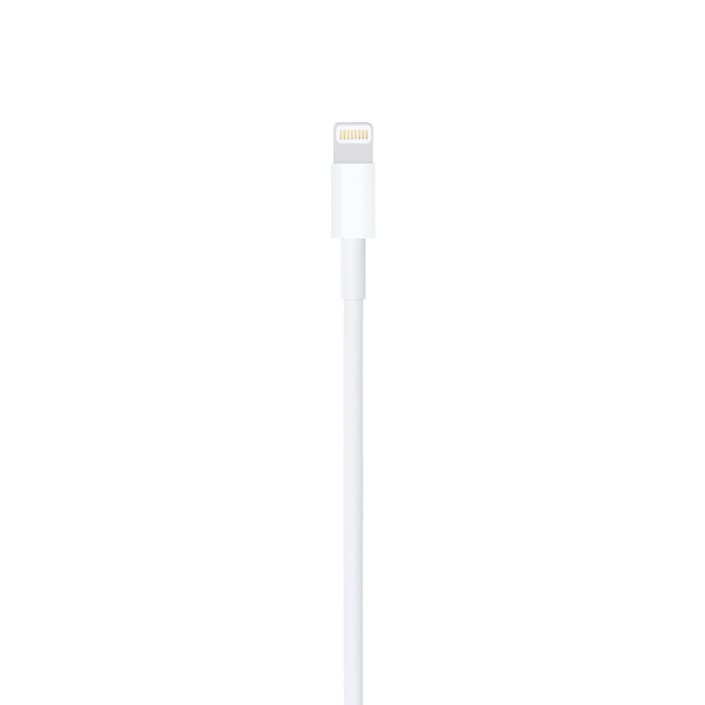 Lightning to USB Cable (1 m)
