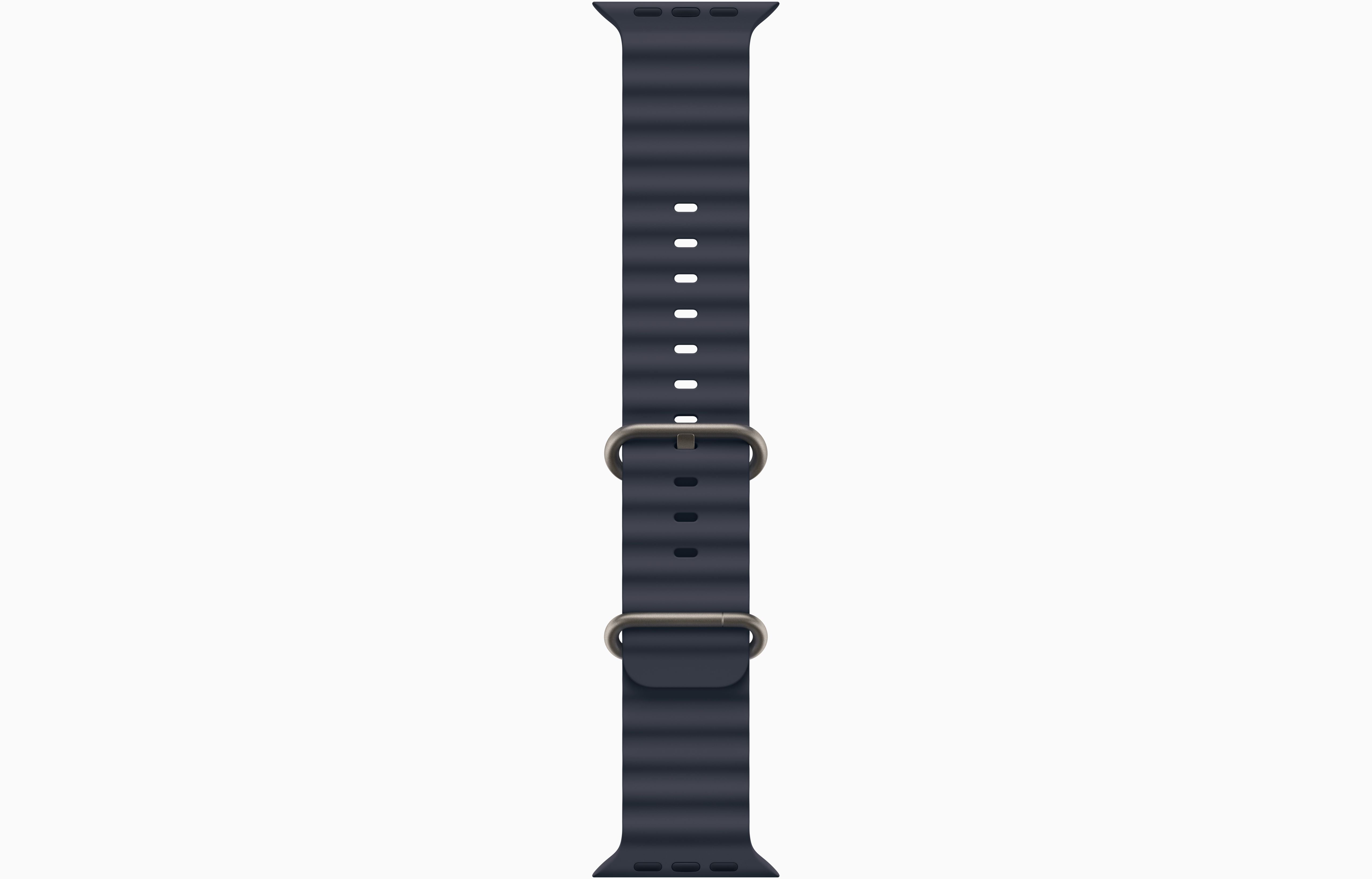 Apple Watch Ultra 2 Natural Titanium Case Ocean Band.