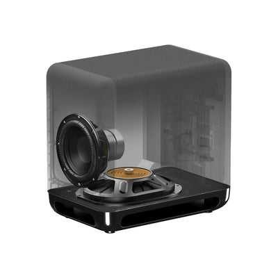 Sony SA-SW5 Wireless Subwoofer