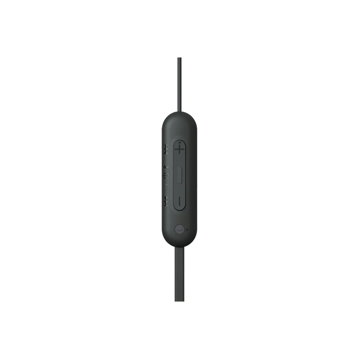 Sony WI-C100