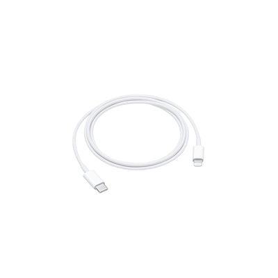 USB-C to Lightning Cable (1 m)