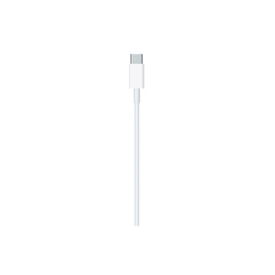 USB-C to Lightning Cable (1 m)