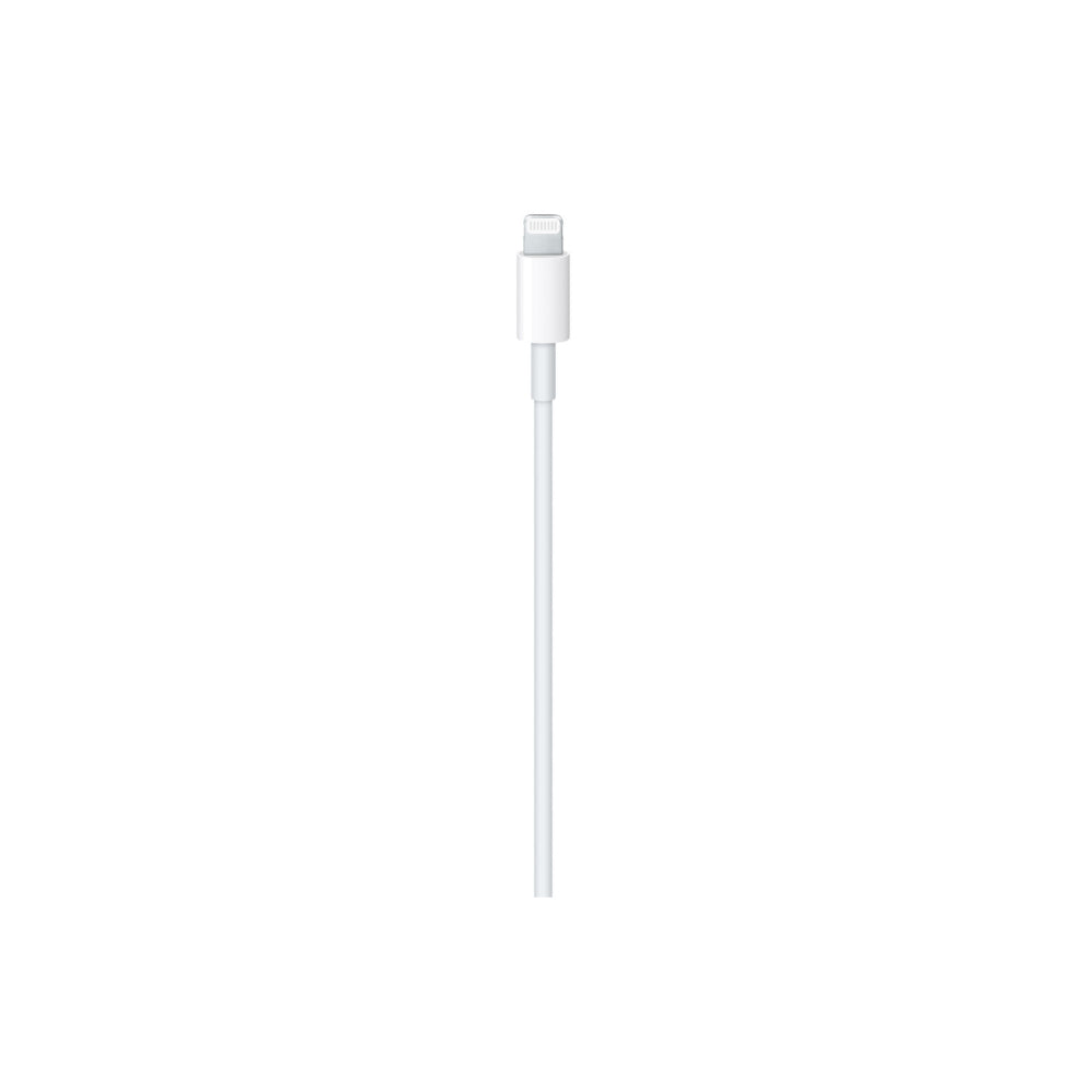 USB-C to Lightning Cable (1 m)