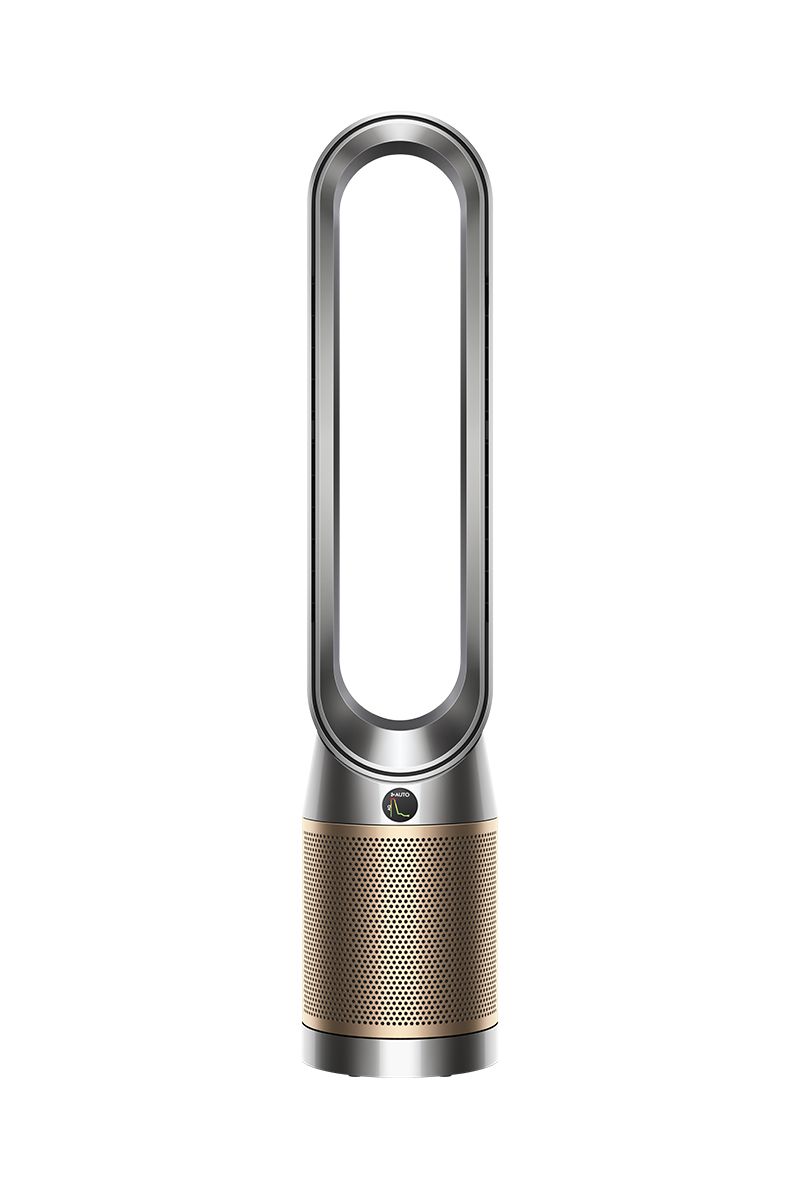 Dyson Purifier Cool PC2 De-NOx Air Purifier
