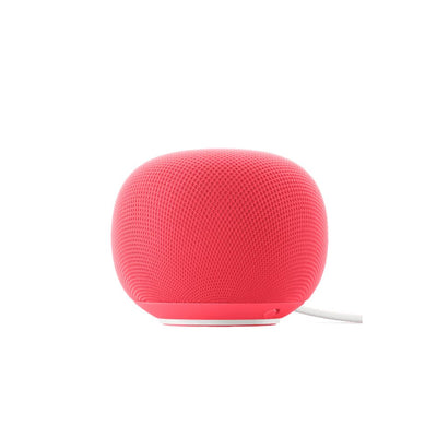 Google Home Speaker
