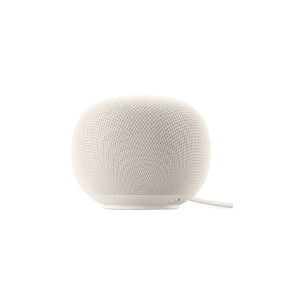 Google Home Speaker