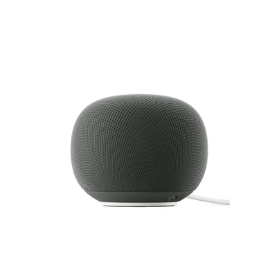 Google Home Speaker